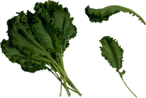 Salad PNG image-2813